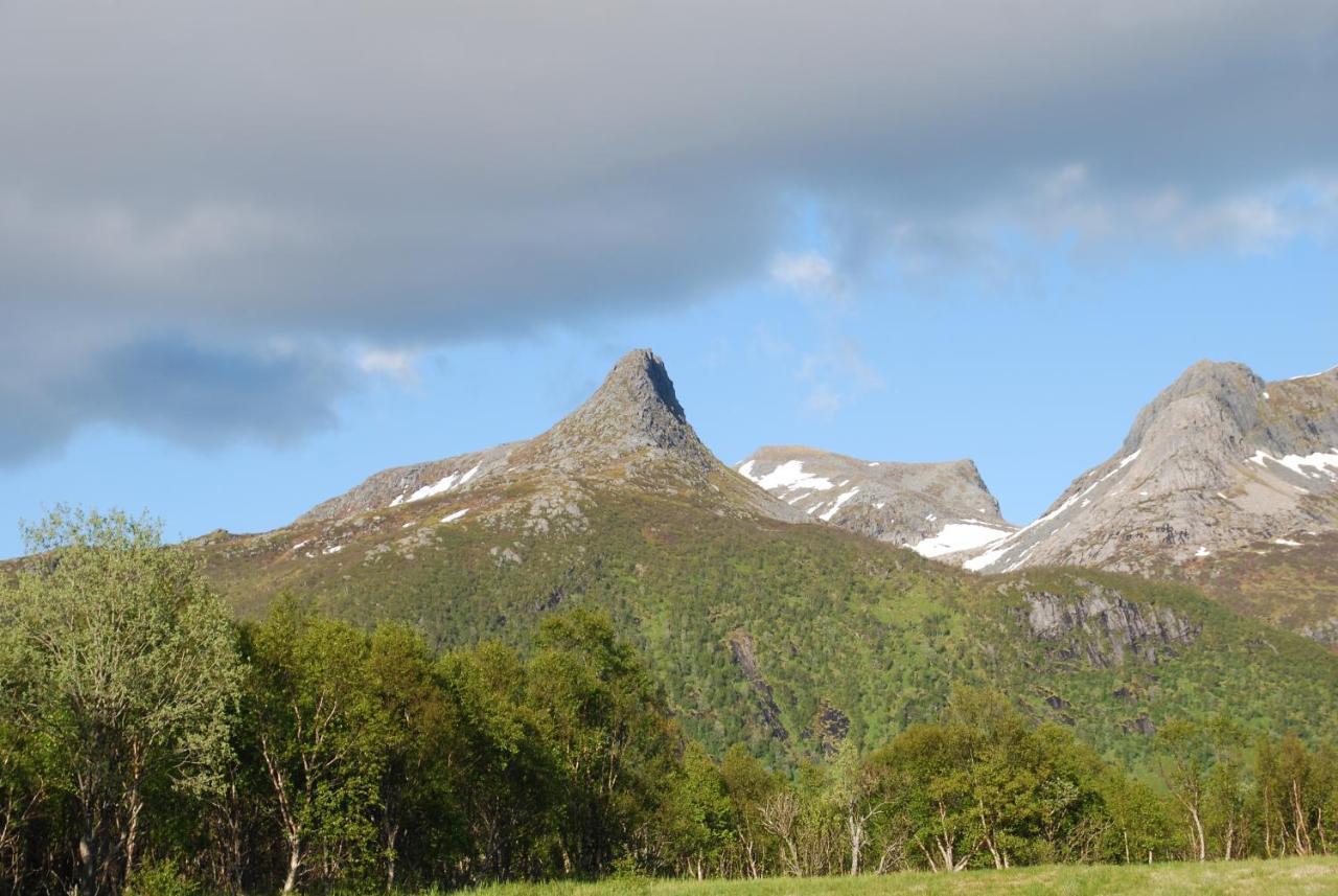 Haugteig Lyngværet Exterior foto