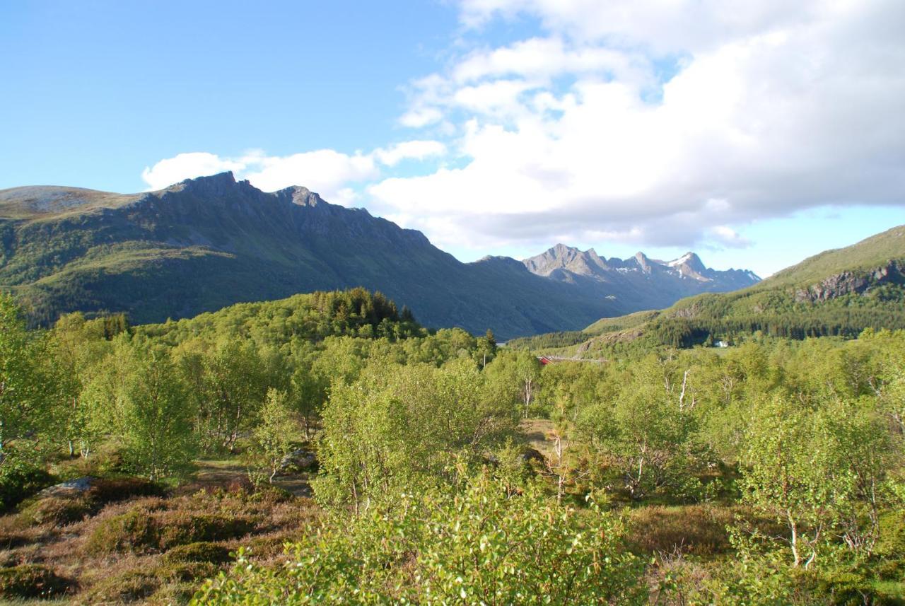 Haugteig Lyngværet Exterior foto