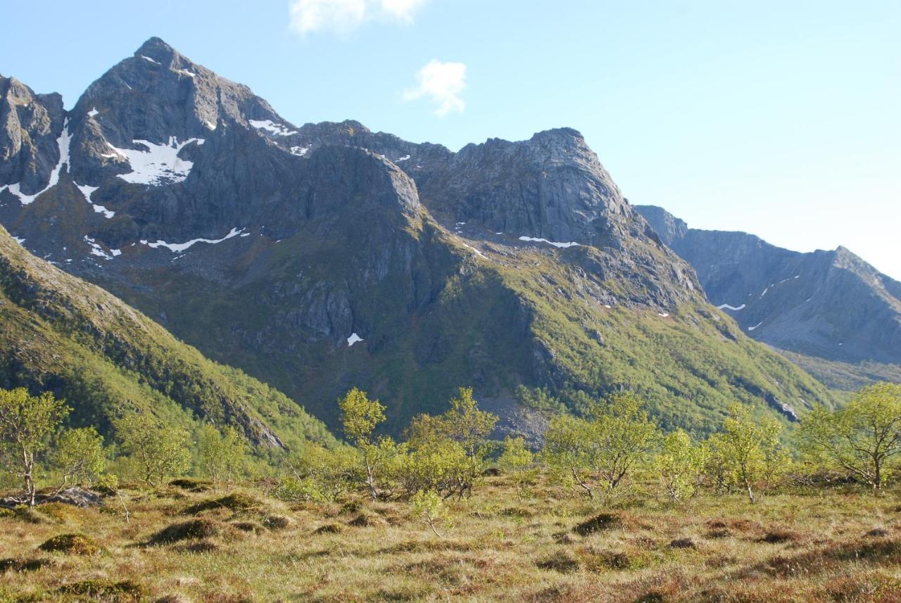 Haugteig Lyngværet Exterior foto