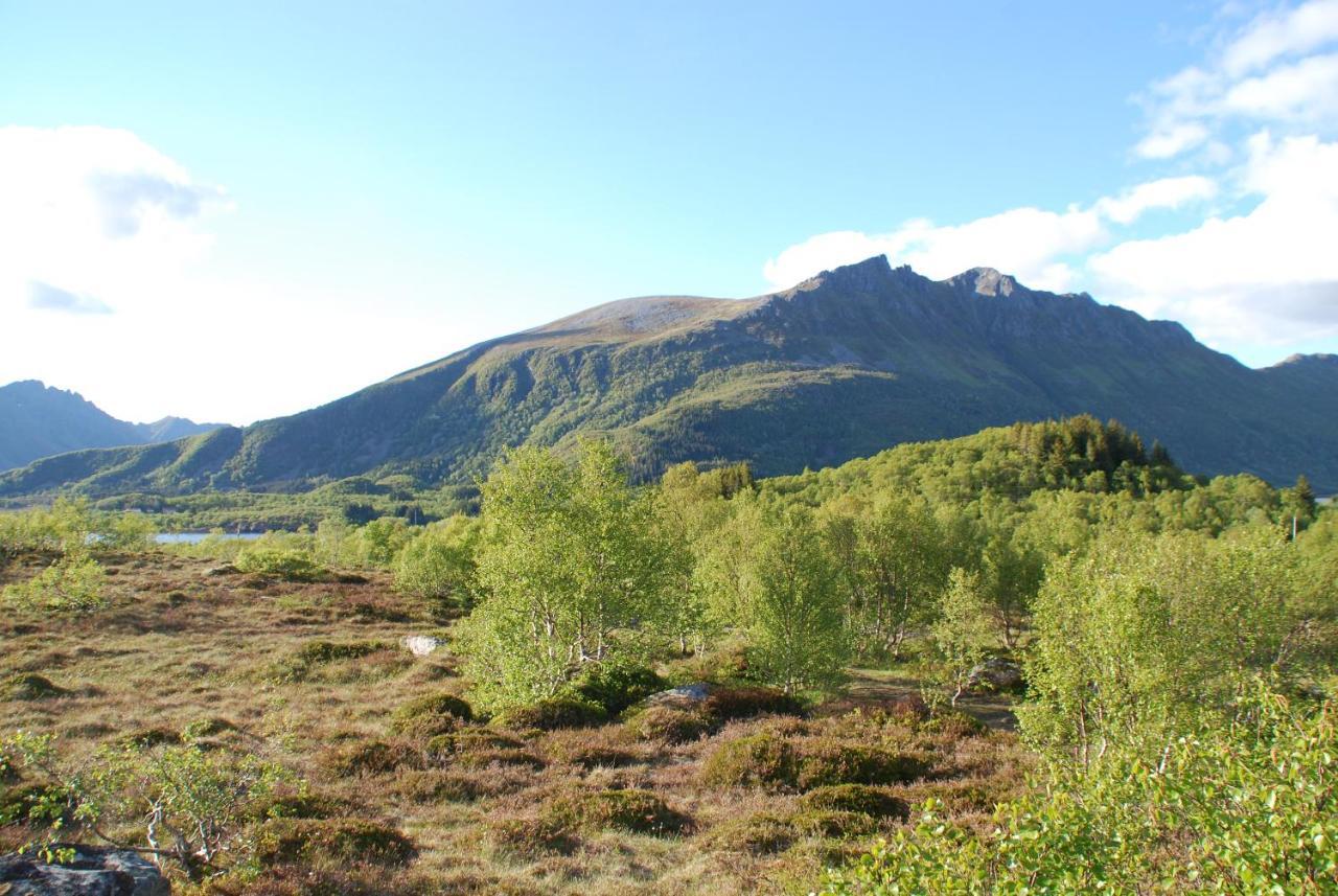 Haugteig Lyngværet Exterior foto
