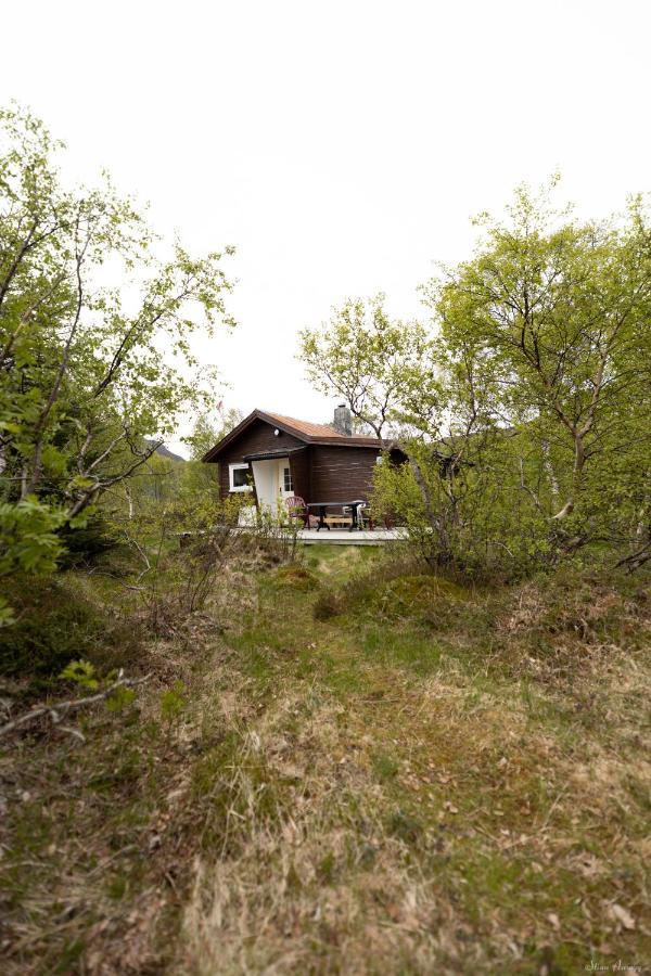 Haugteig Lyngværet Exterior foto