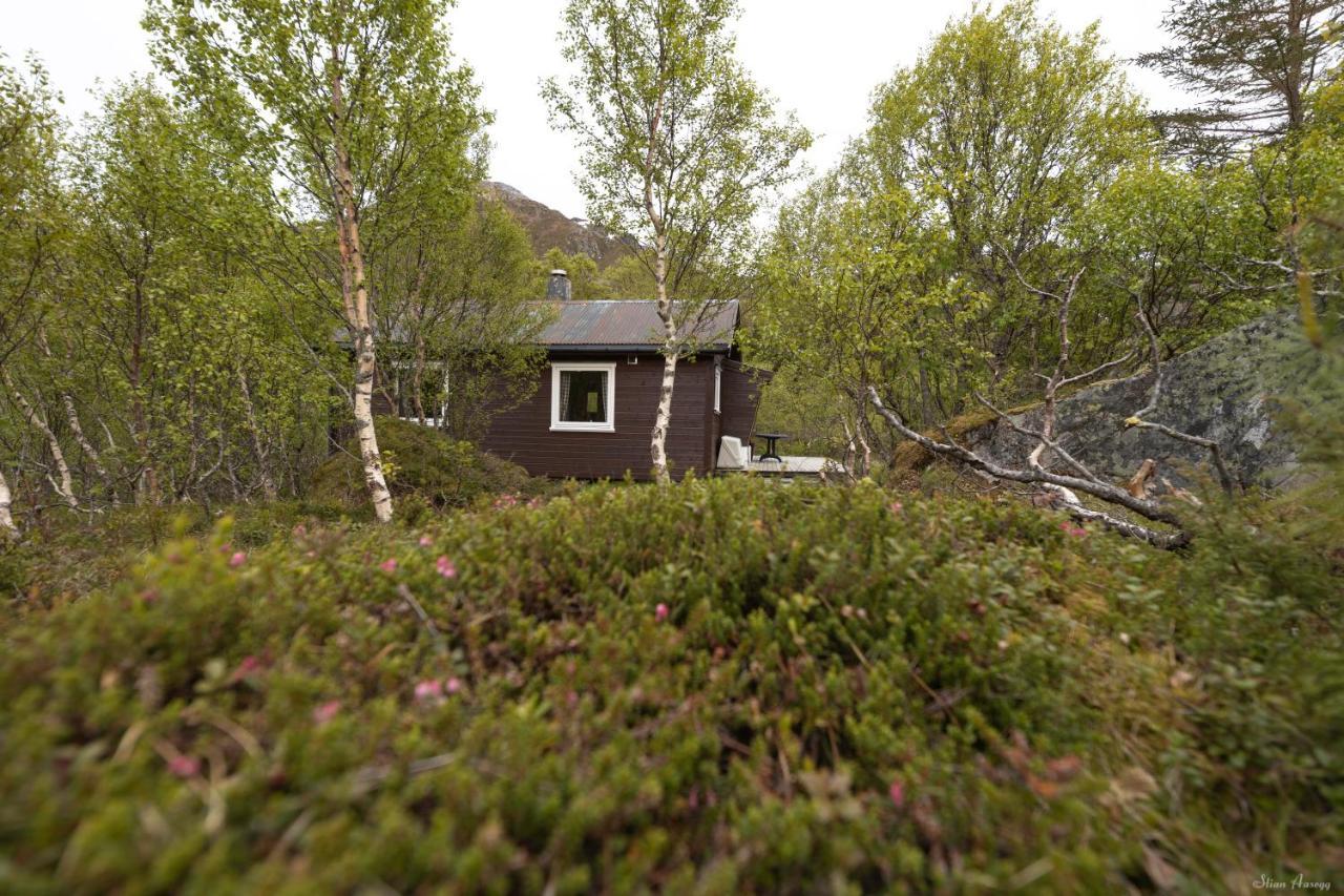 Haugteig Lyngværet Exterior foto