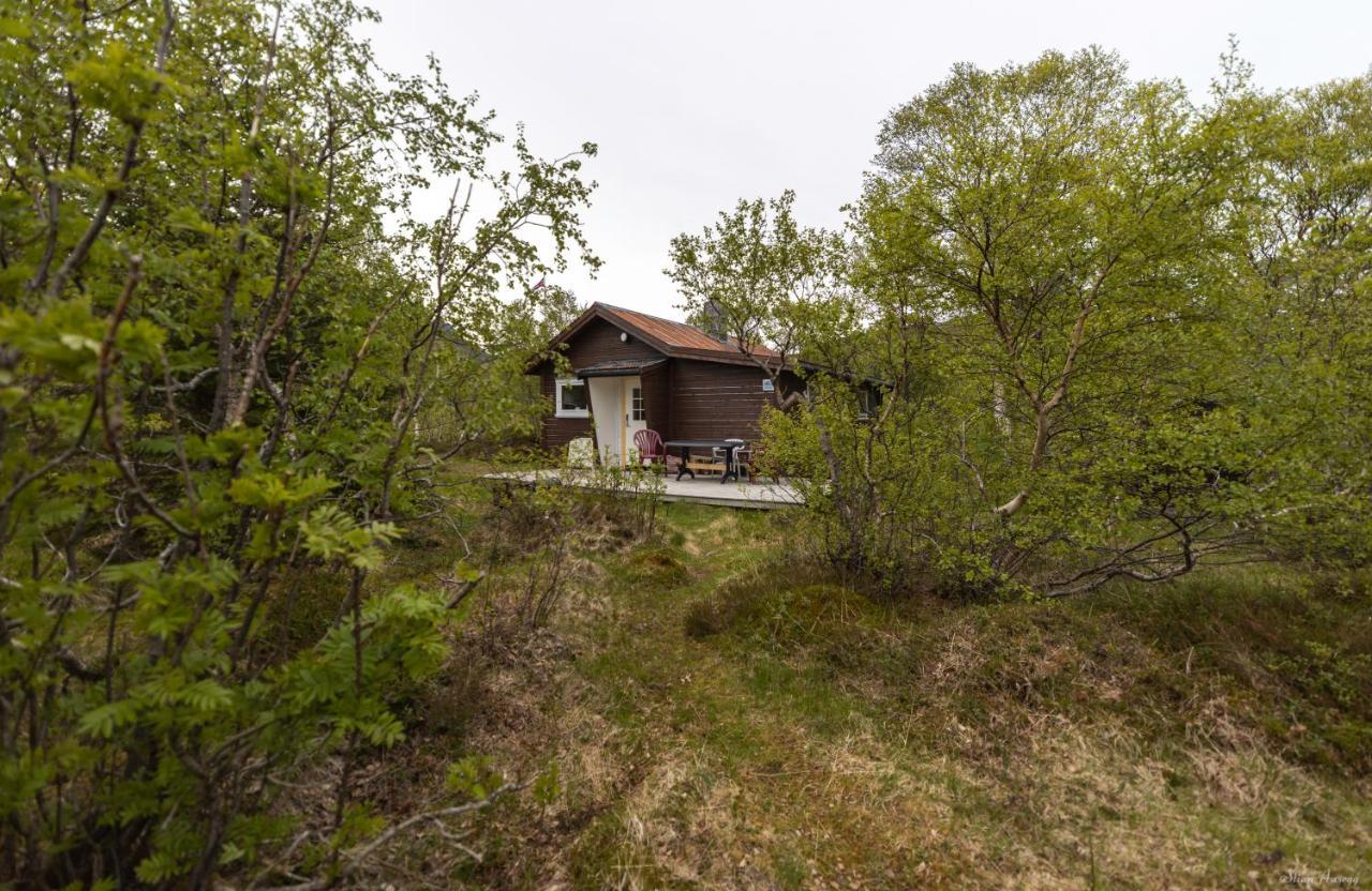 Haugteig Lyngværet Exterior foto